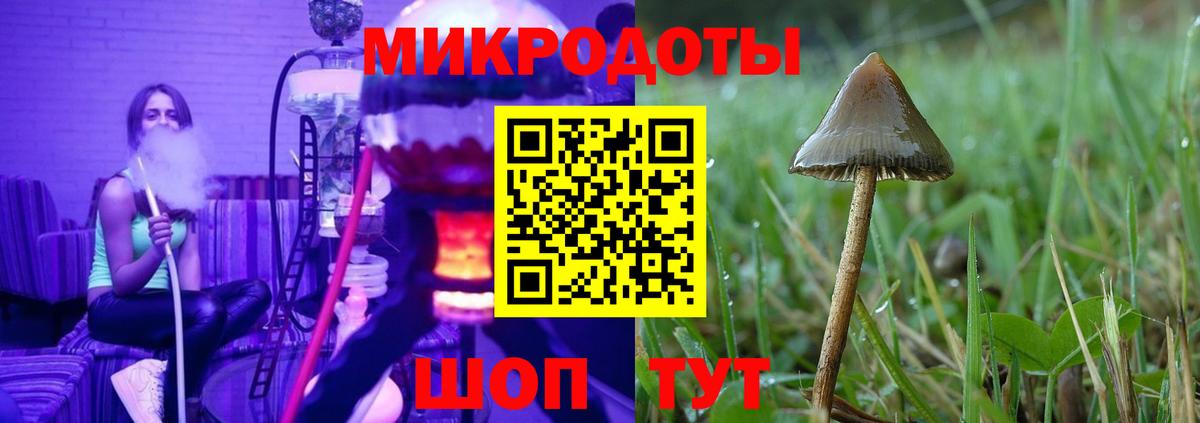 Галлюциногенные грибы Psilocybine cubensis  Галлюциногенные грибы Psilocybe  Вход с VPN  Фурманов 